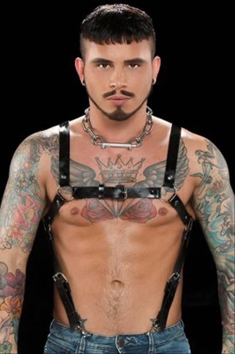Seth Knight Porn Star Picture